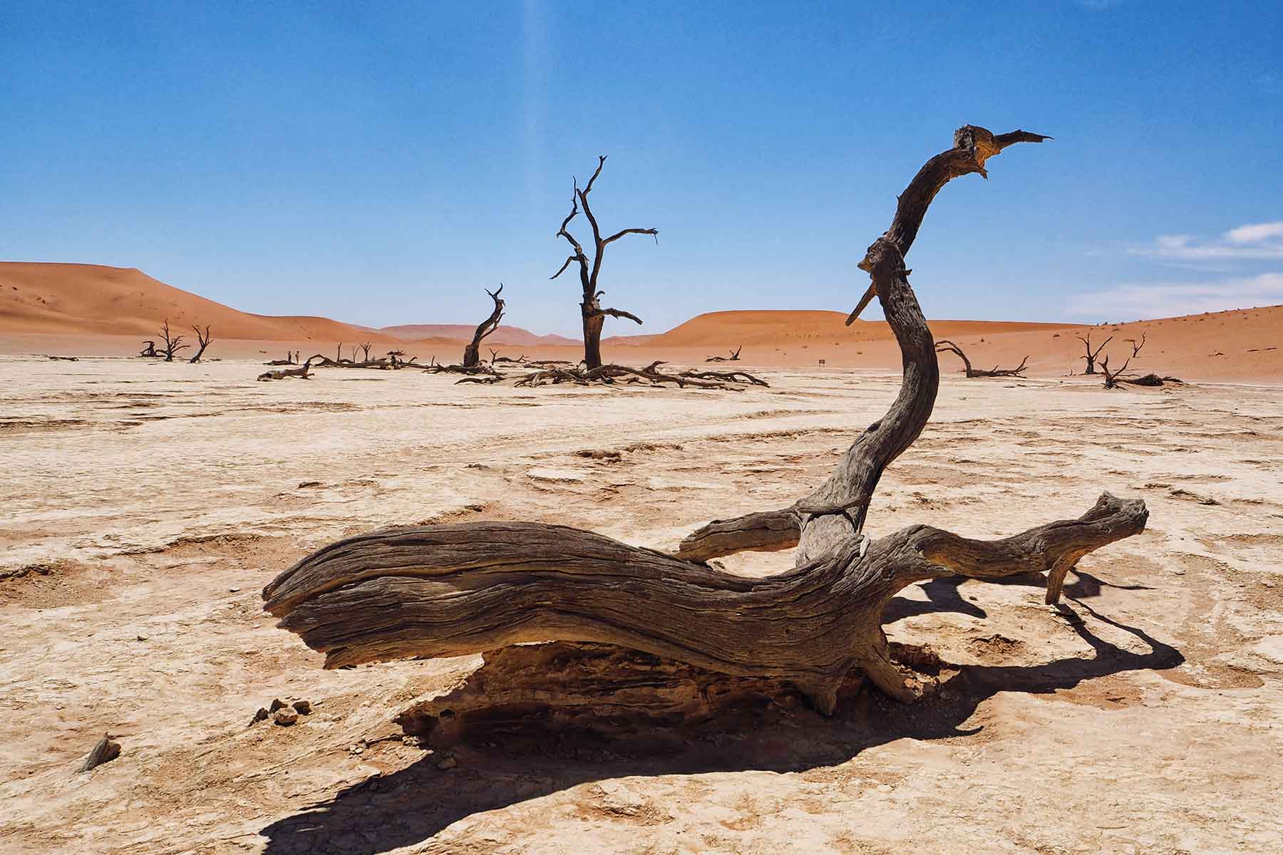 Sossusvlei Namibia