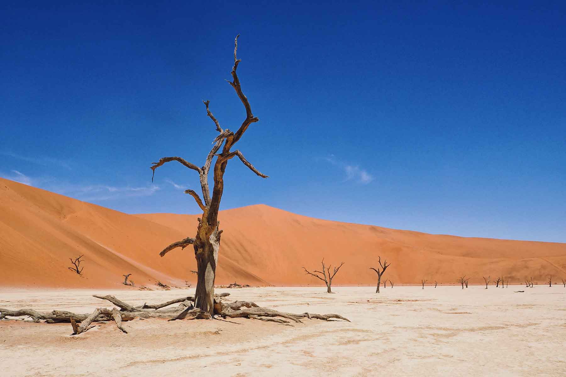 Sossusvlei Deadvlei Namibia