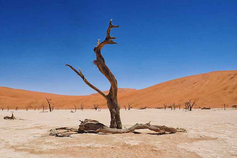 Sossusvlei Namibia