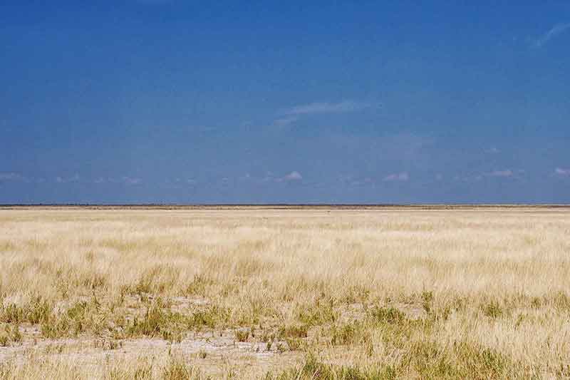 Etosha