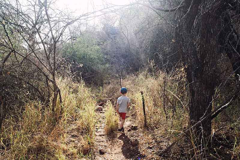 Wandern am Waterberg