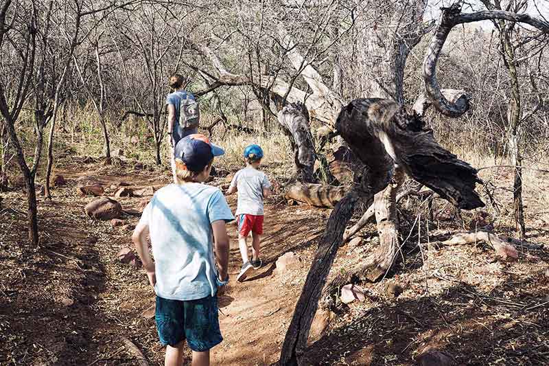 Wandern am Waterberg