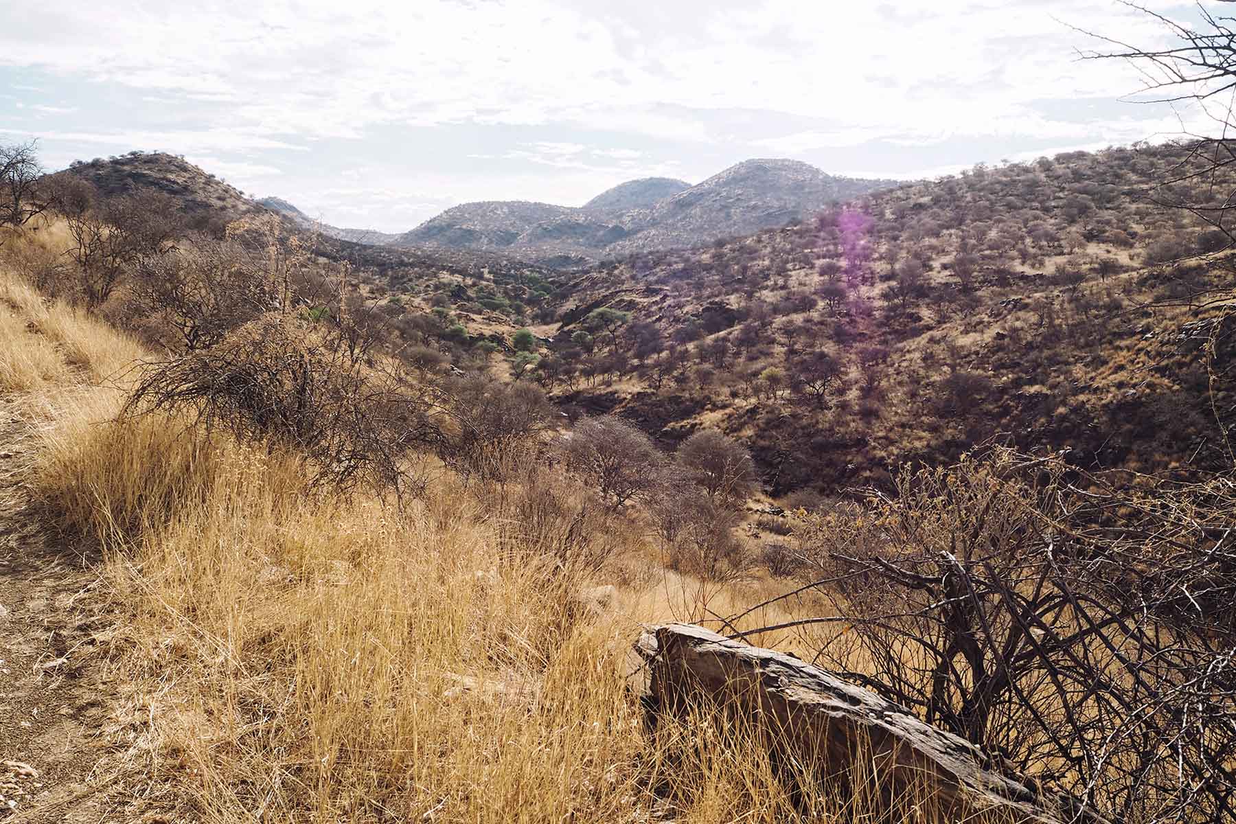 Wanderwege Düsternbrook Namibia