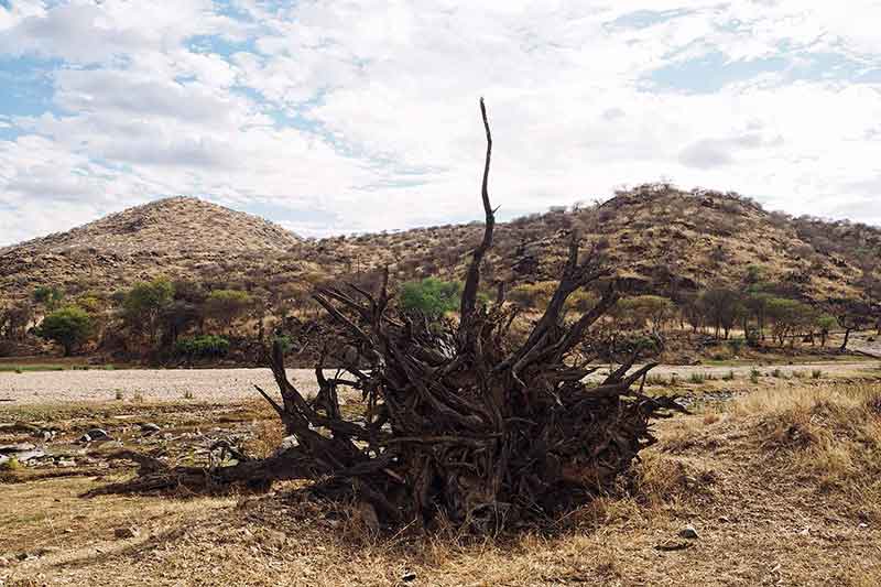 Düsternbrook Farm Namibia