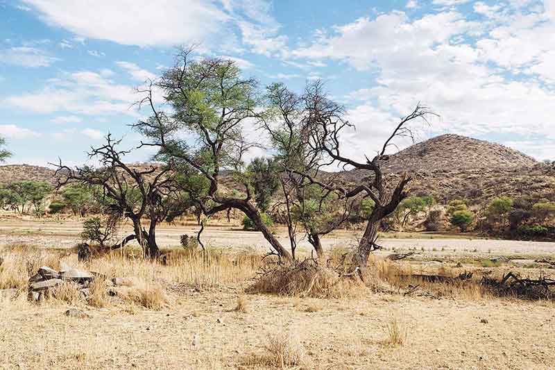 Düsternbrook Farm Namibia