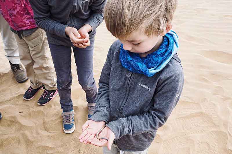 Mückenabweisende Kleidung