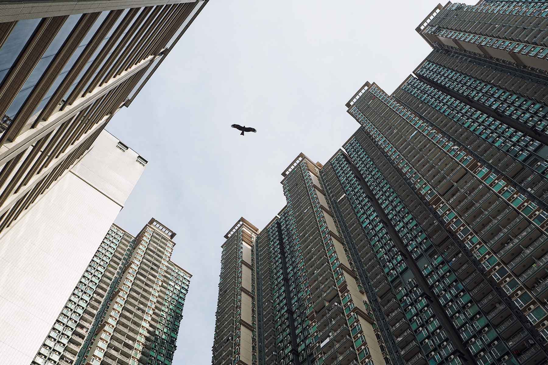 Hongkong mit Kindern