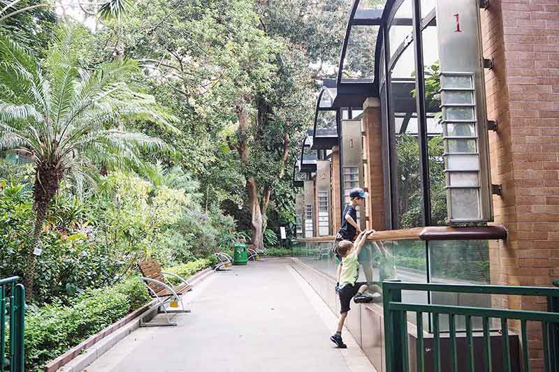 Hongkong mit Kindern