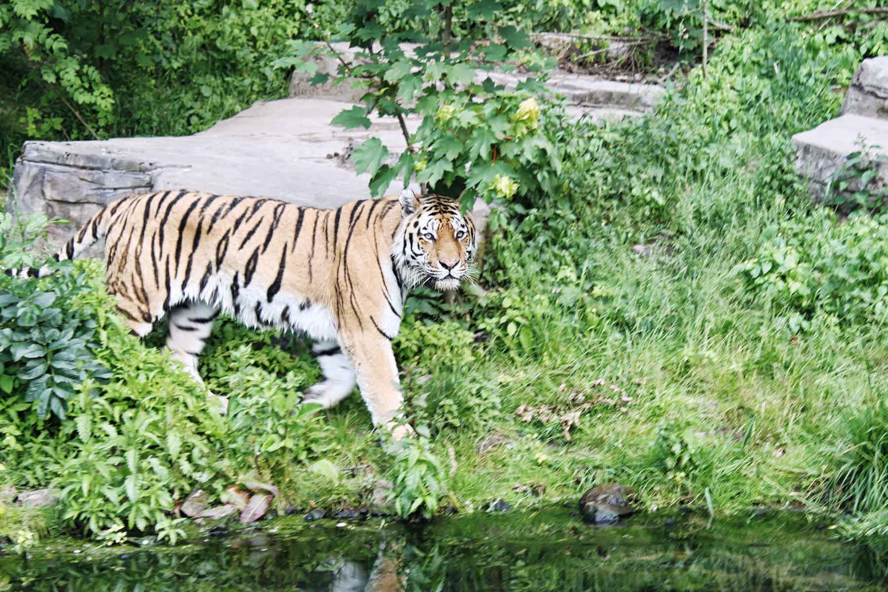 Spiele für unterwegs