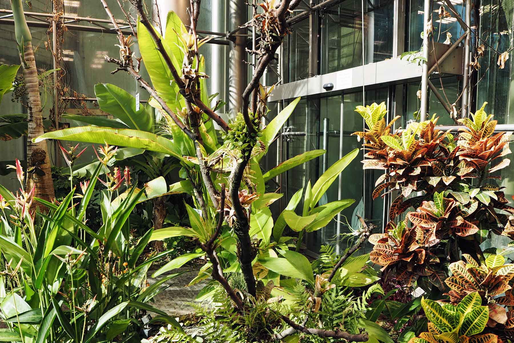 Schokoladenmuseum Köln