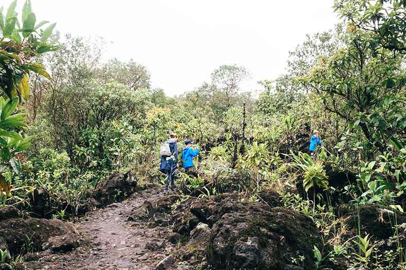 Wandern am Arenal Costa Rica