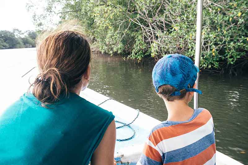 Mangroven in Tamarindo