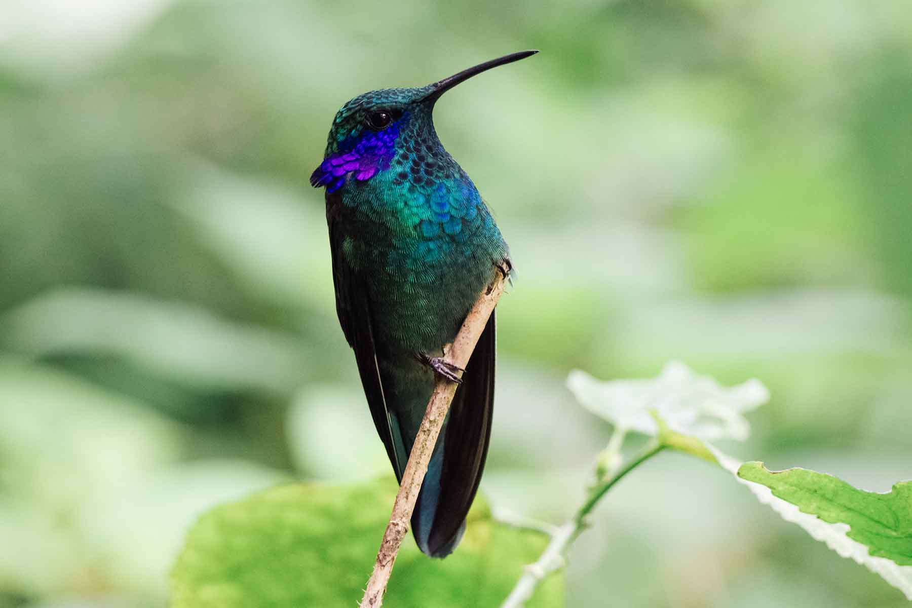 Costa Rica mit Kindern