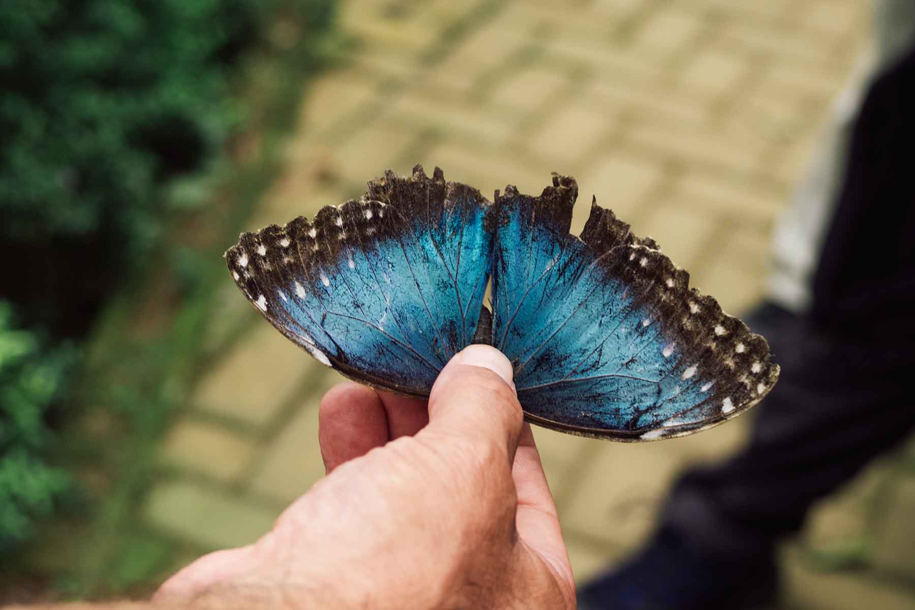 Costa Rica mit indern