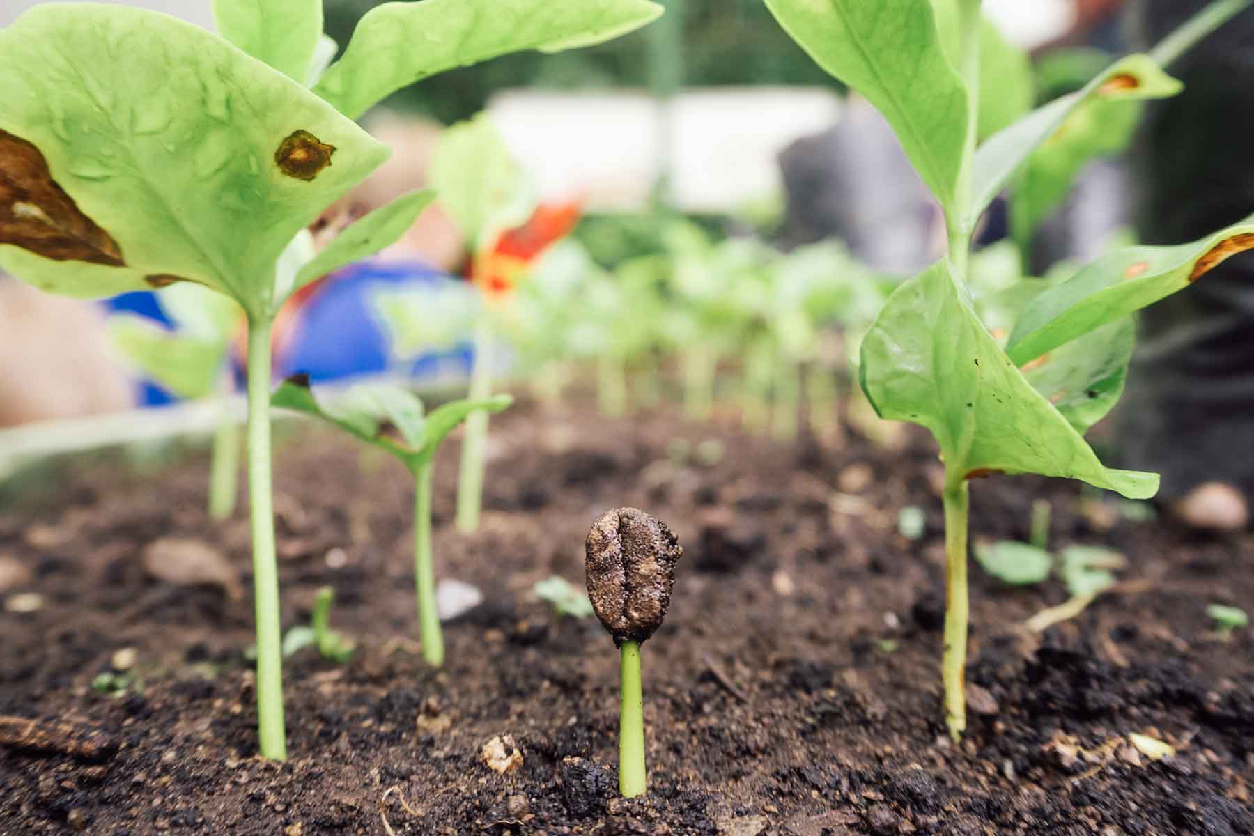 Costa Rica mit Kindern