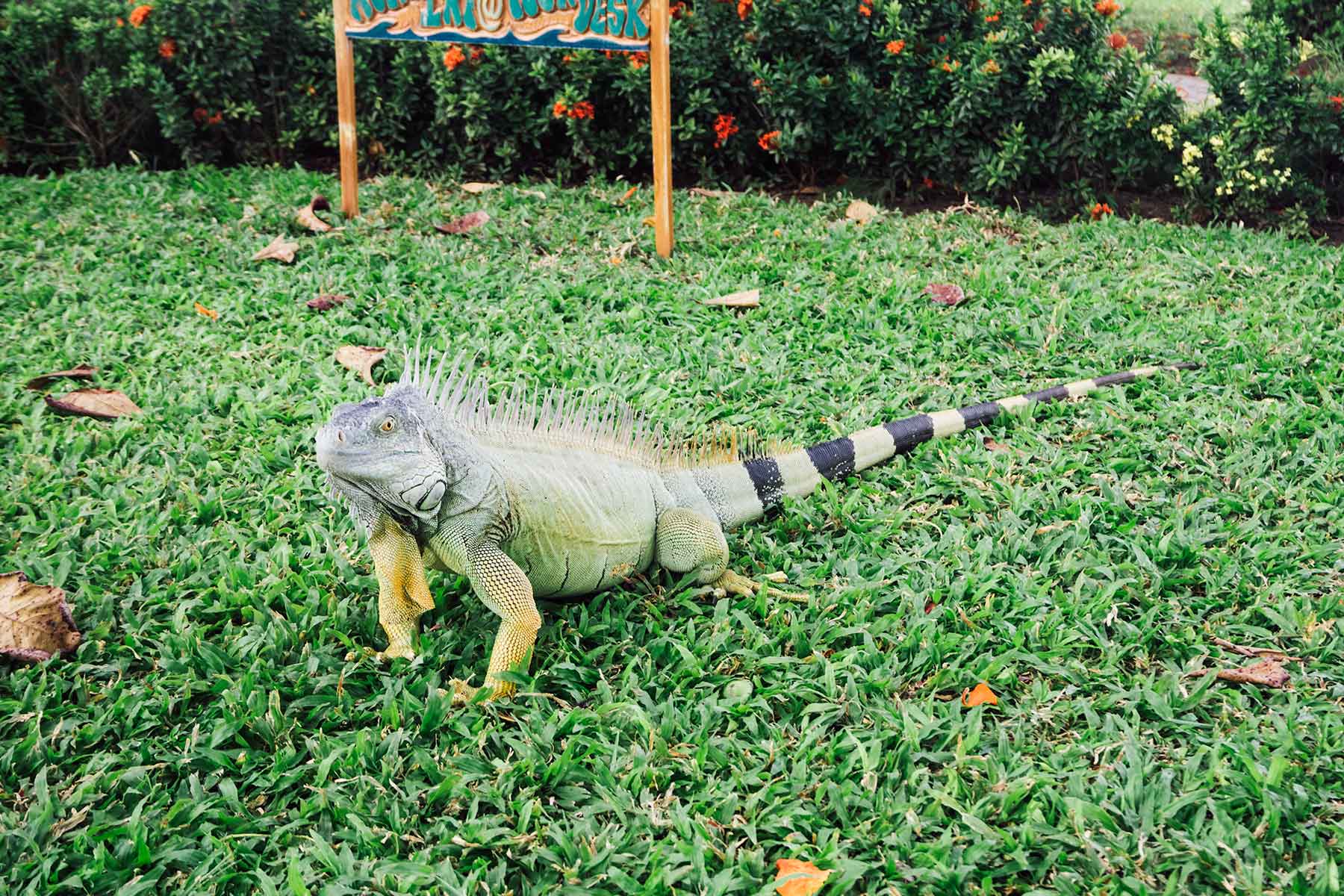 Costa Rica mit Kindern