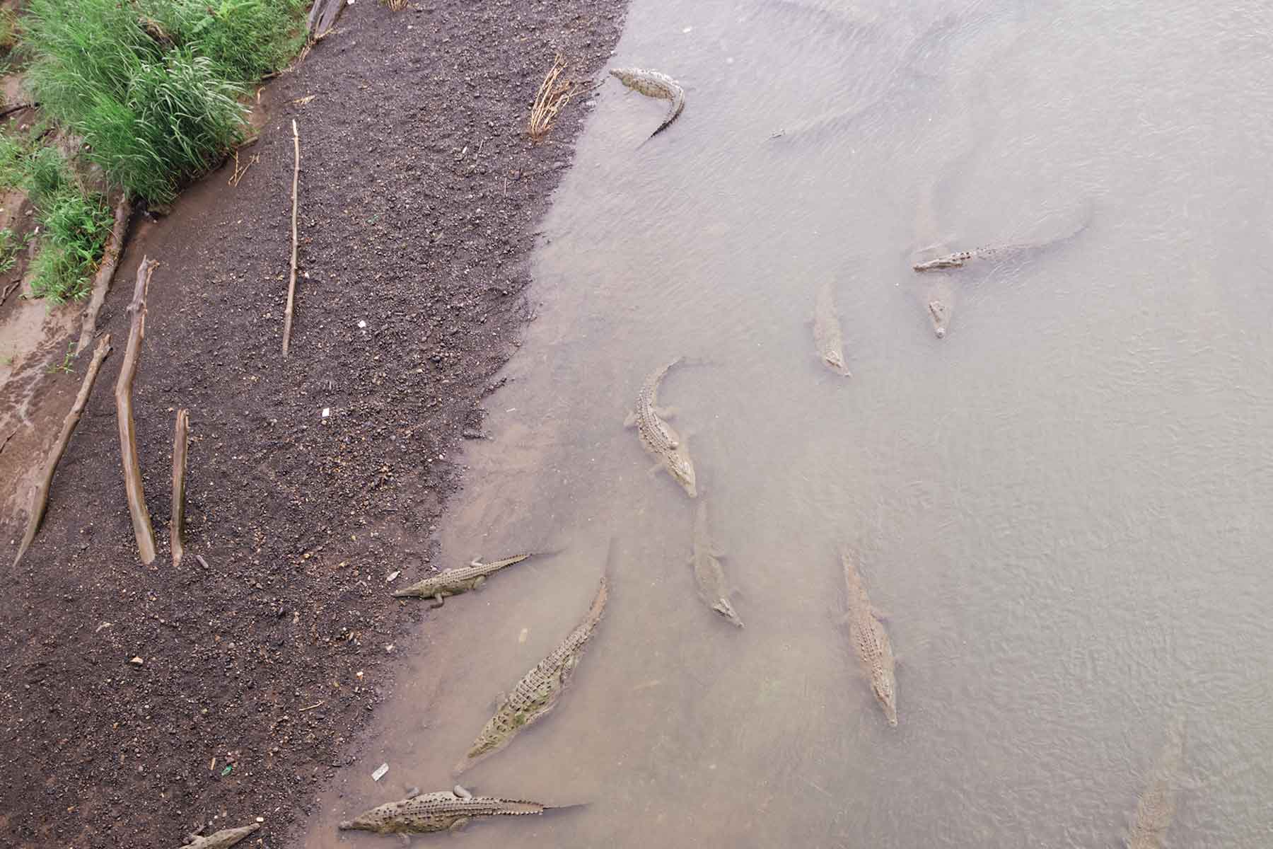 Costa Rica mit Kindern