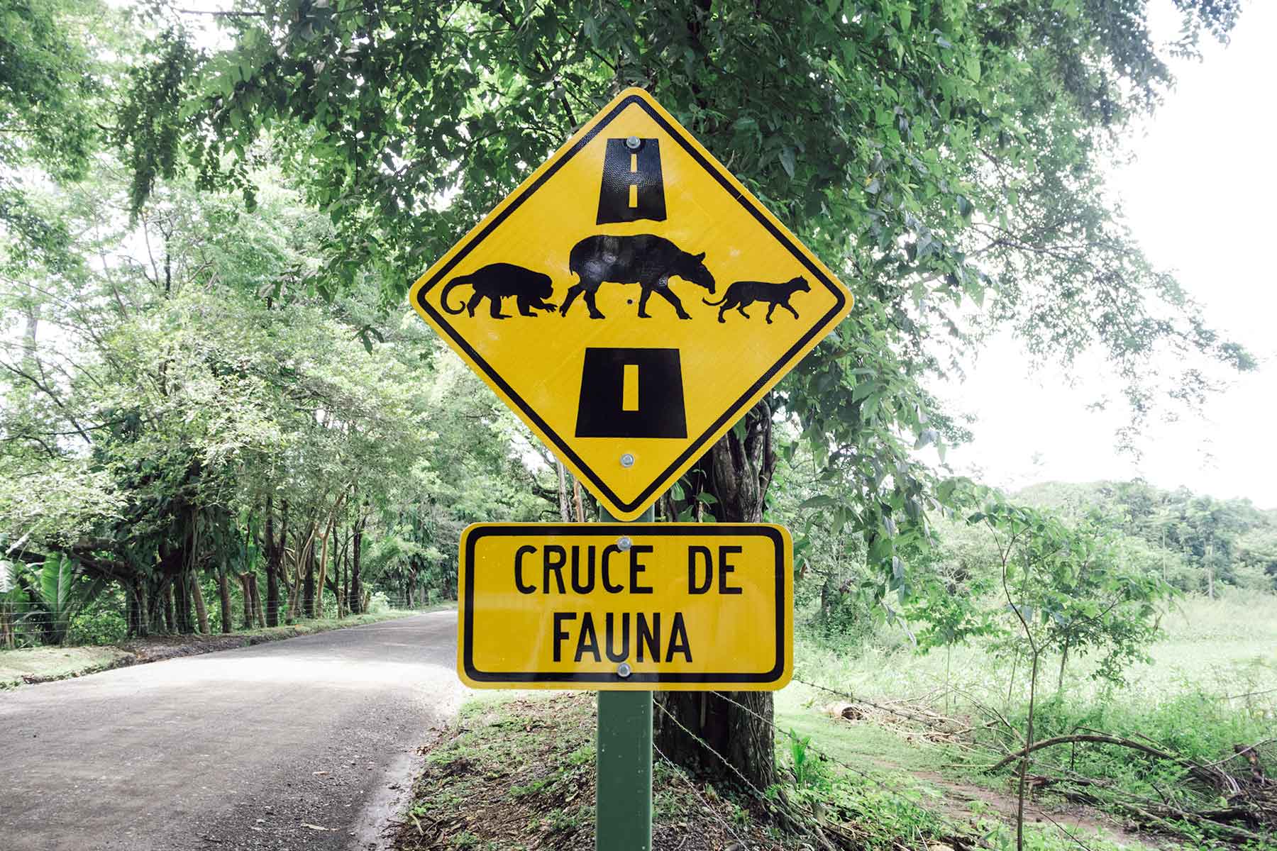 Costa Rica mit Kindern