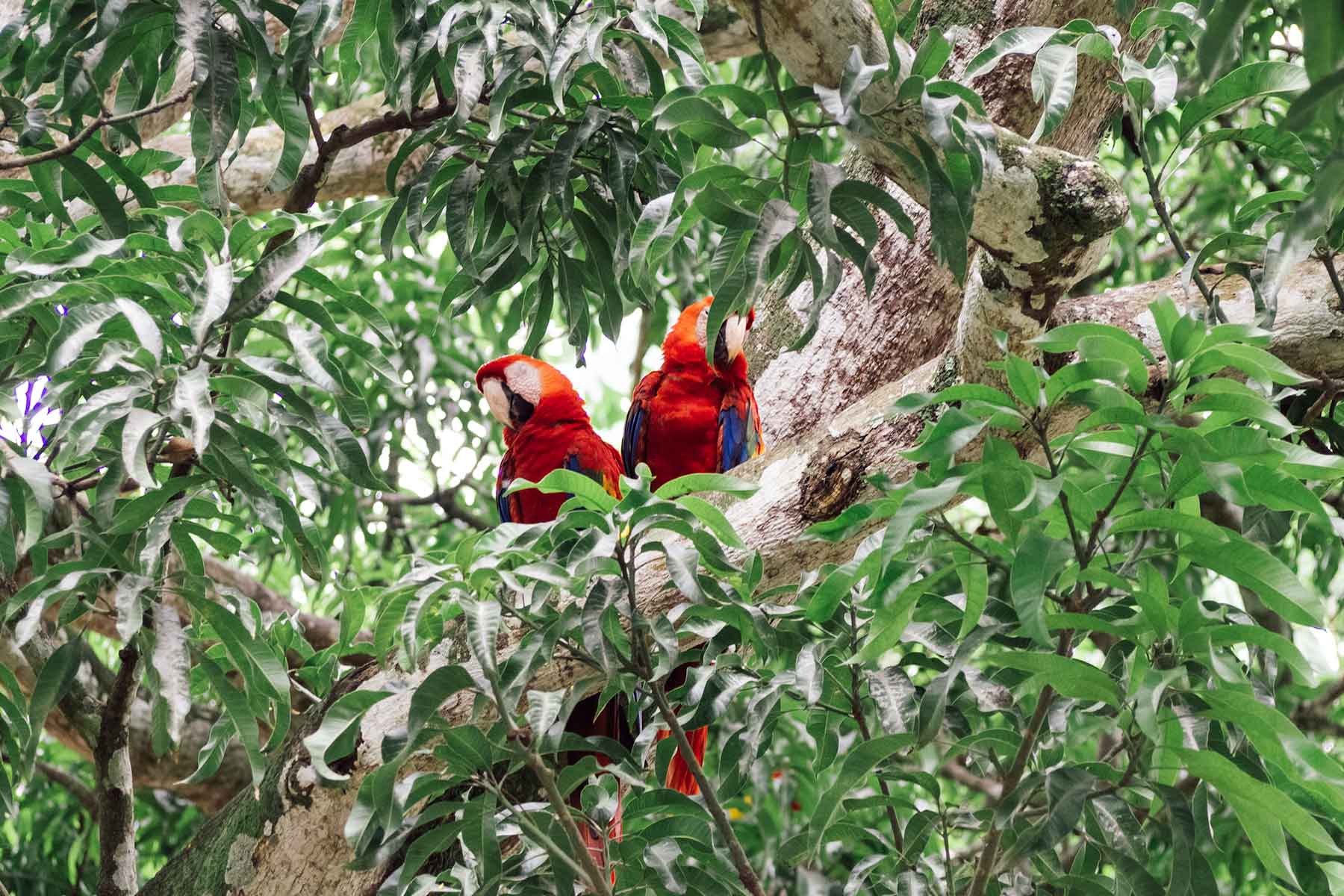 Costa Rica mit Kindern