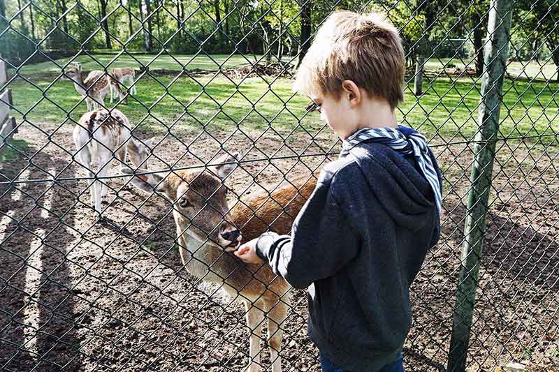Glamping Niederlande