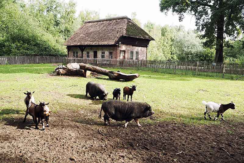 Glamping Niederlande