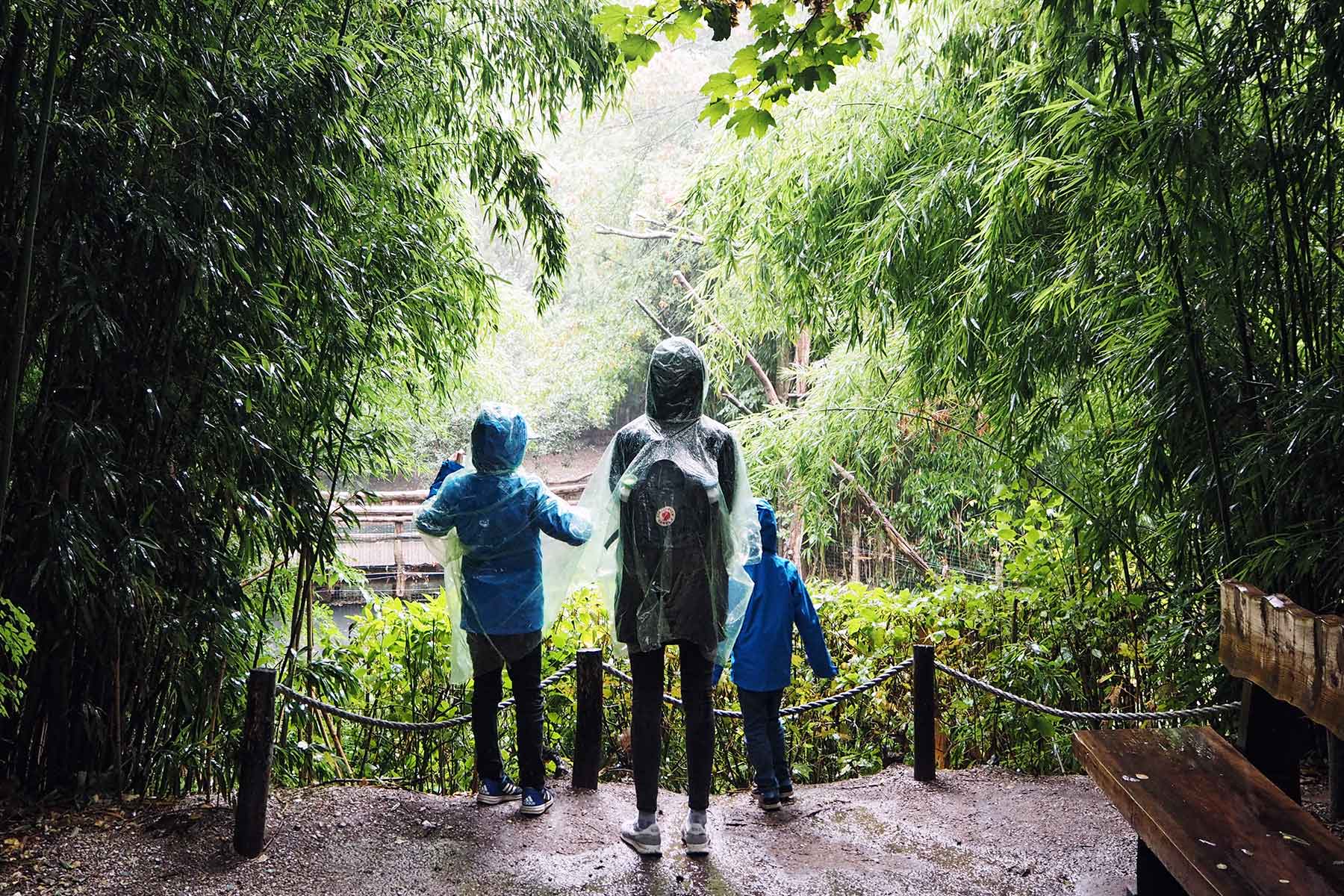 Glamping Niederlande