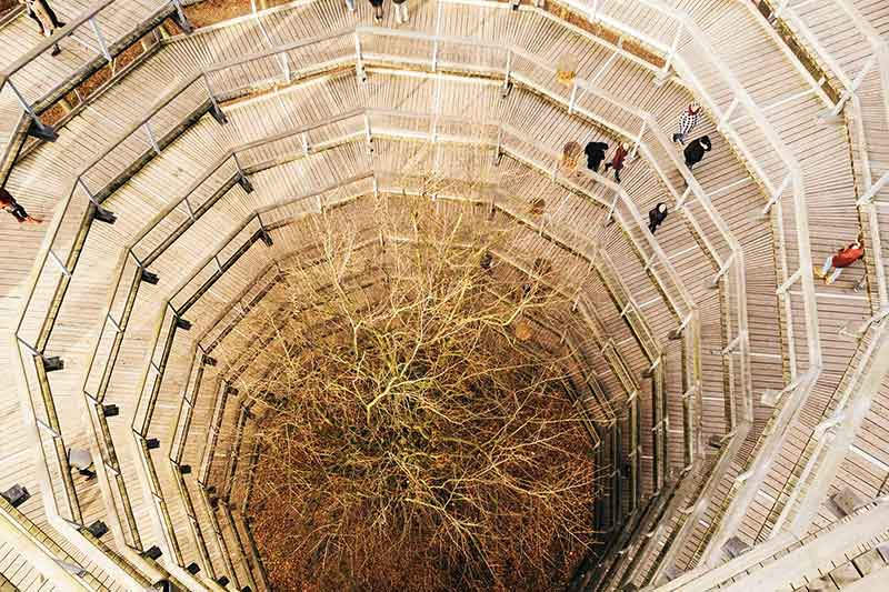 Naturerbe Zentrum Rügen und Baumwipfelpfad