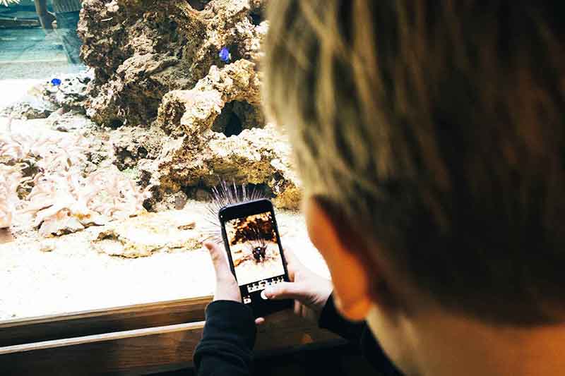 Deutsches Meeresmuseum Stralsund