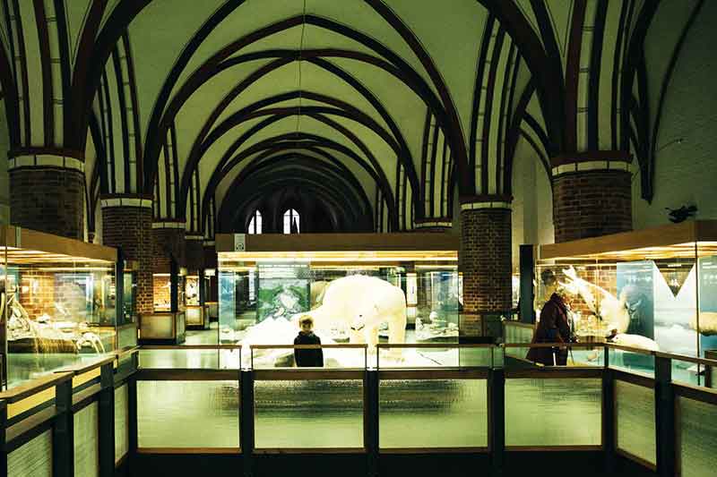 Deutsches Meeresmuseum Stralsund