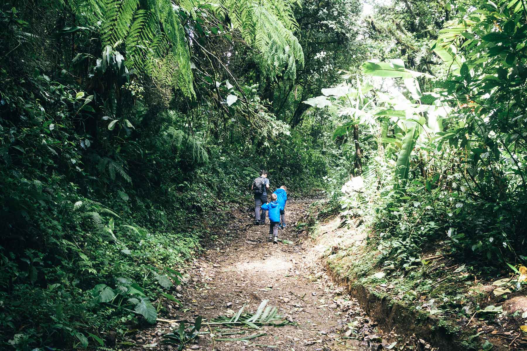 Wandern Monteverde Costa Rica