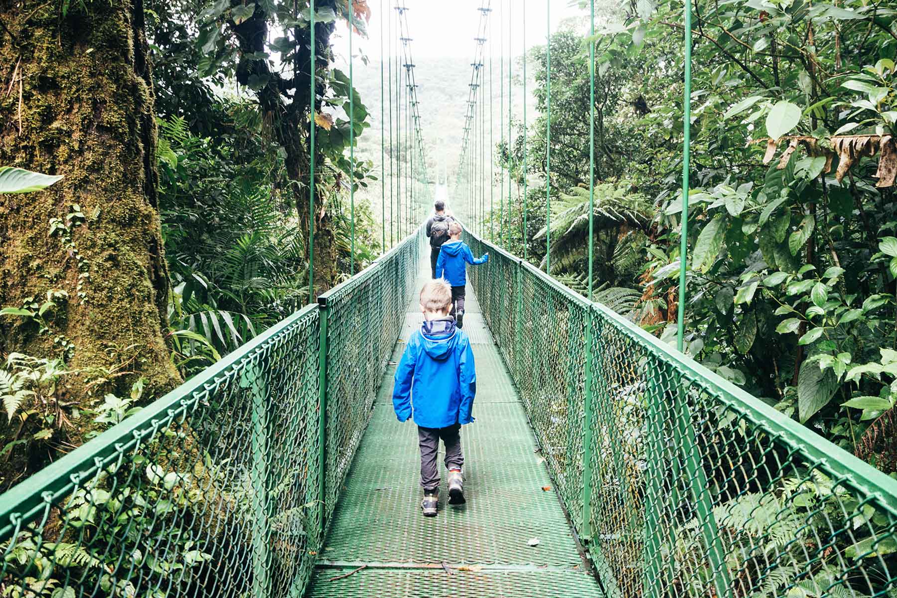 Hängebrücke Monteverde Costa Rica