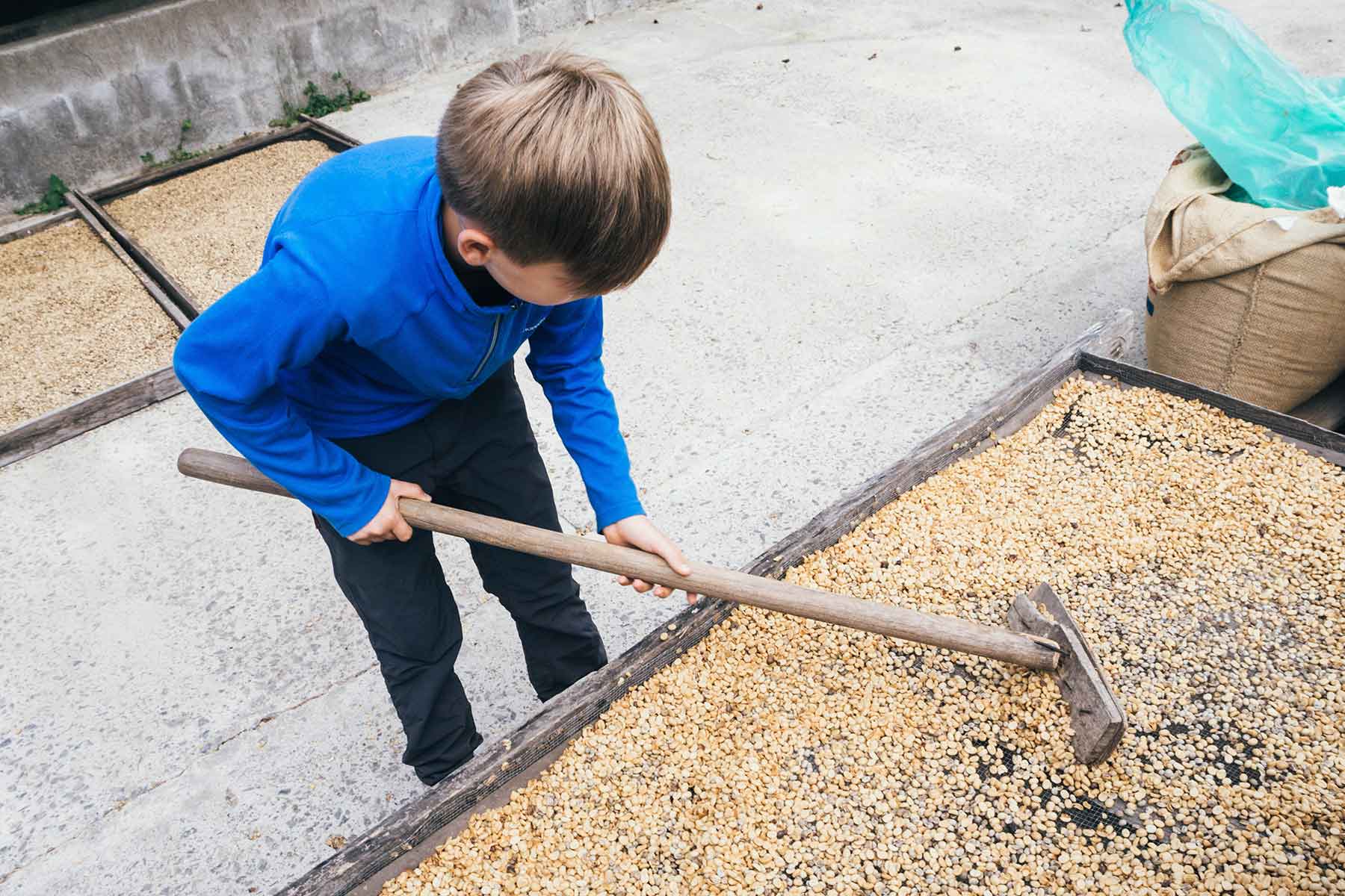Coffee Tour Don Juan Monteverde Costa Rica