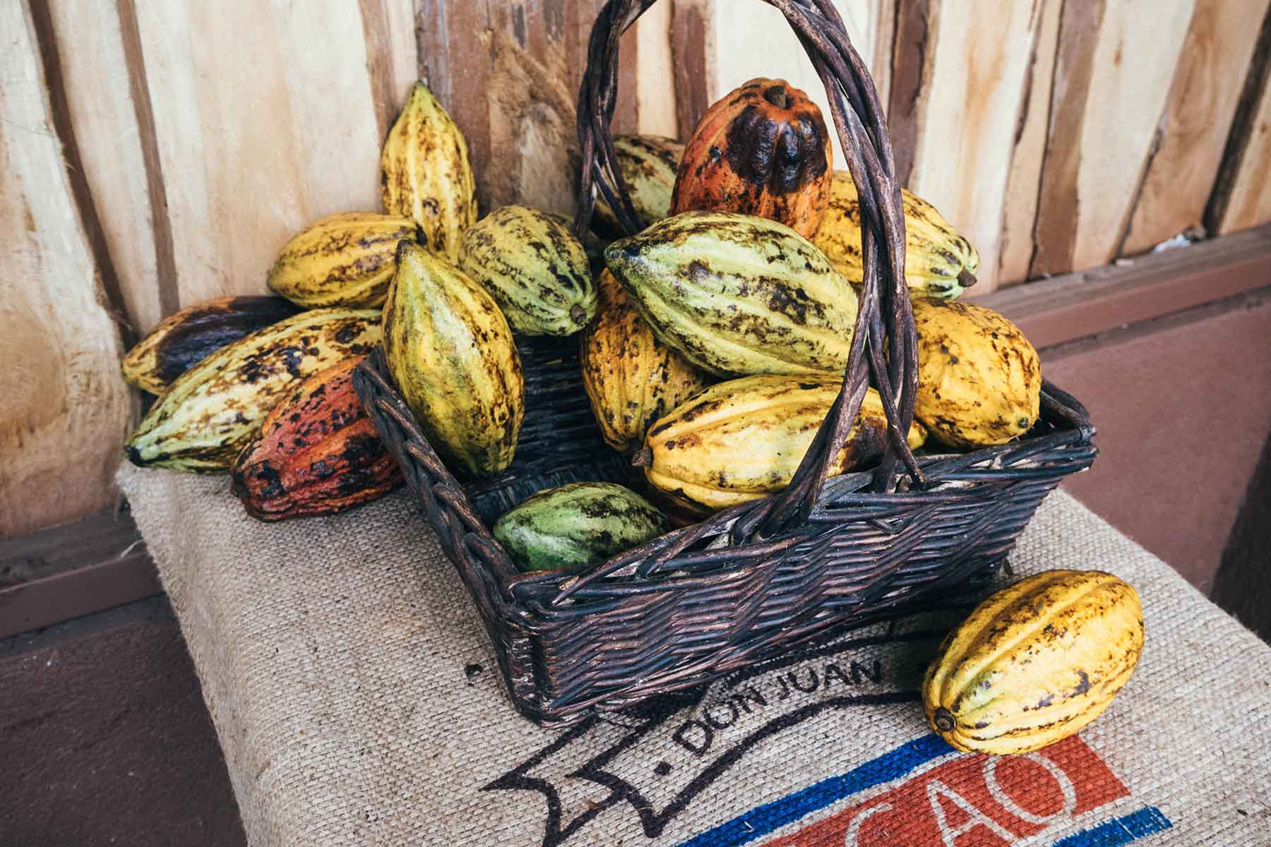 Coffee Tour Don Juan Monteverde Costa Rica