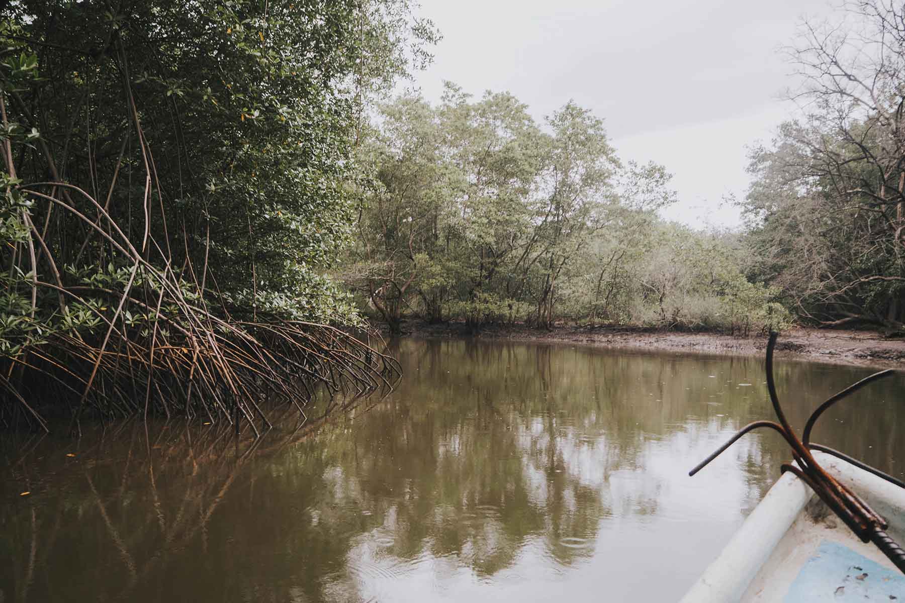 Tamarindo Costa Rica Manrgoven