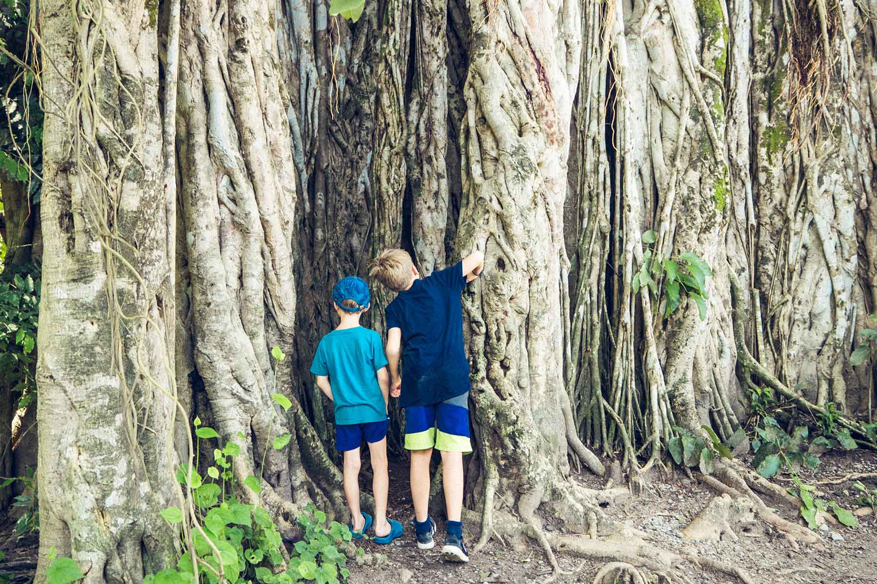 Santa Teresa Costa Rica