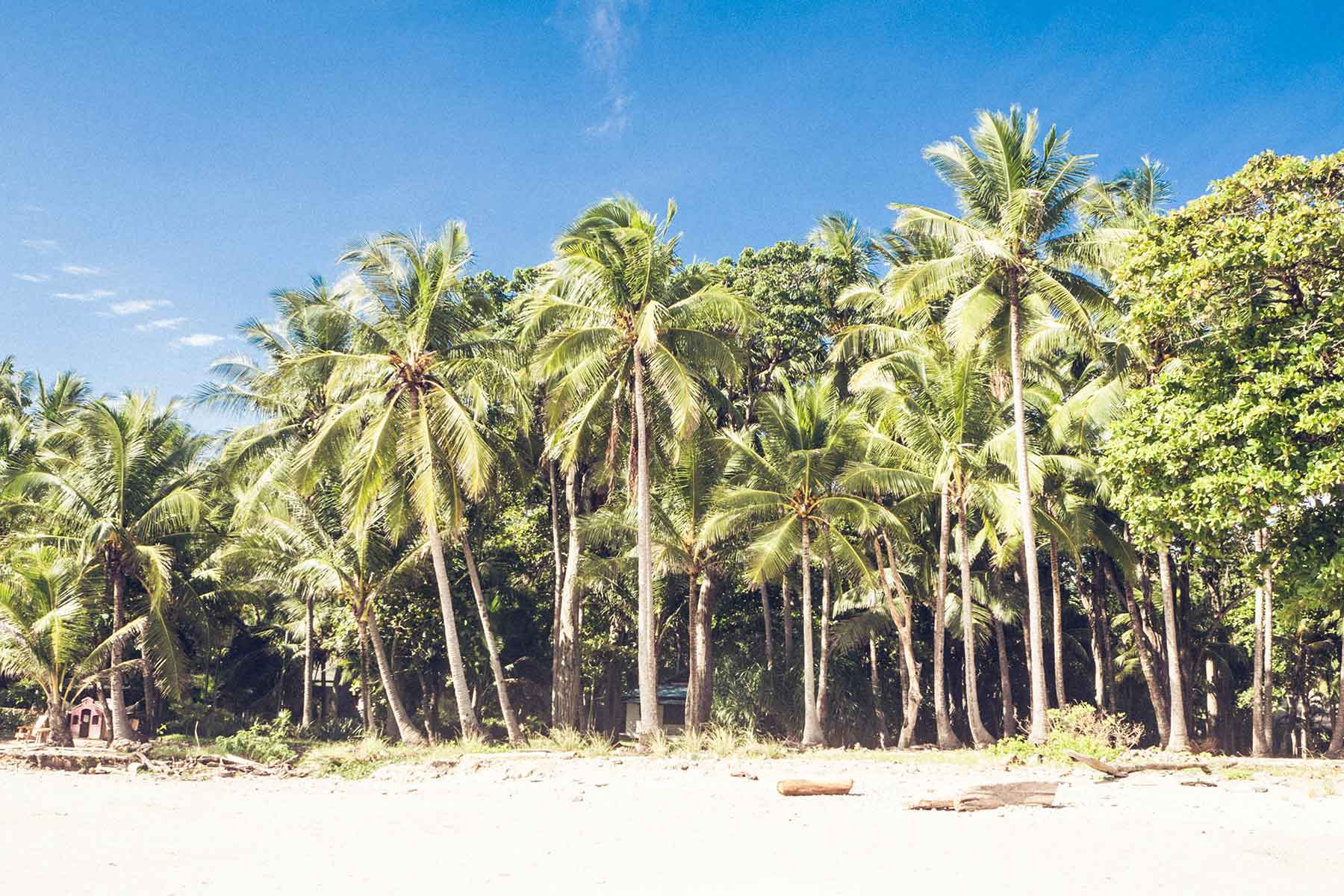 Santa Teresa Costa Rica