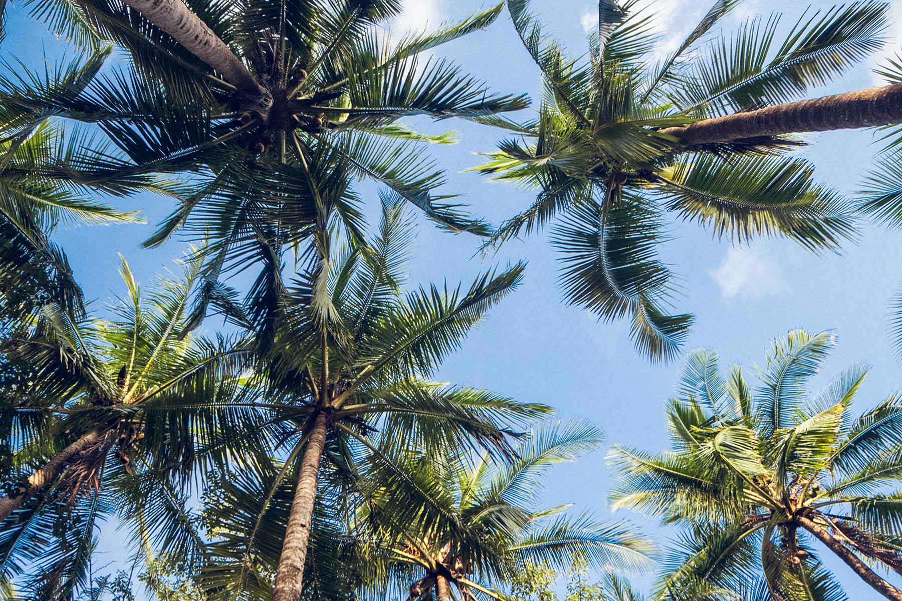 Santa Teresa Costa Rica