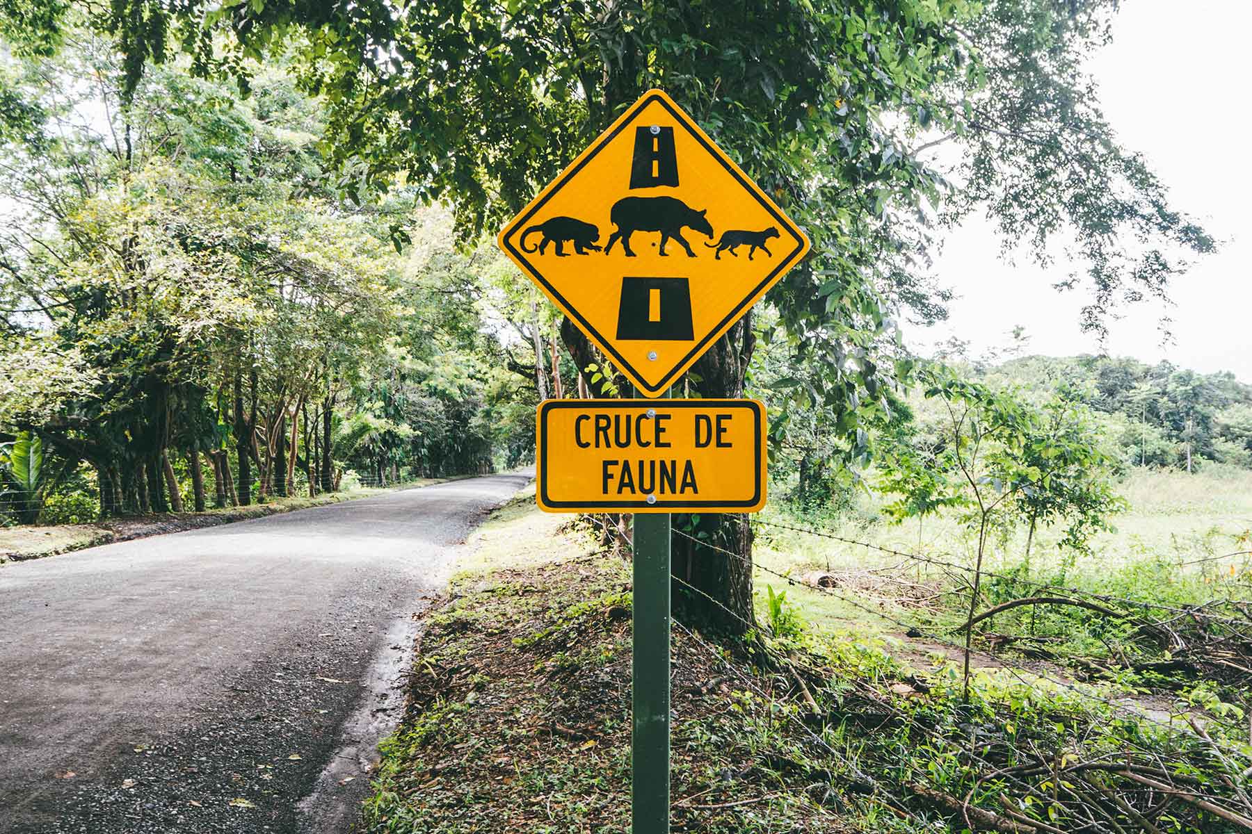 Corcovado Nationalpark Costa Rica