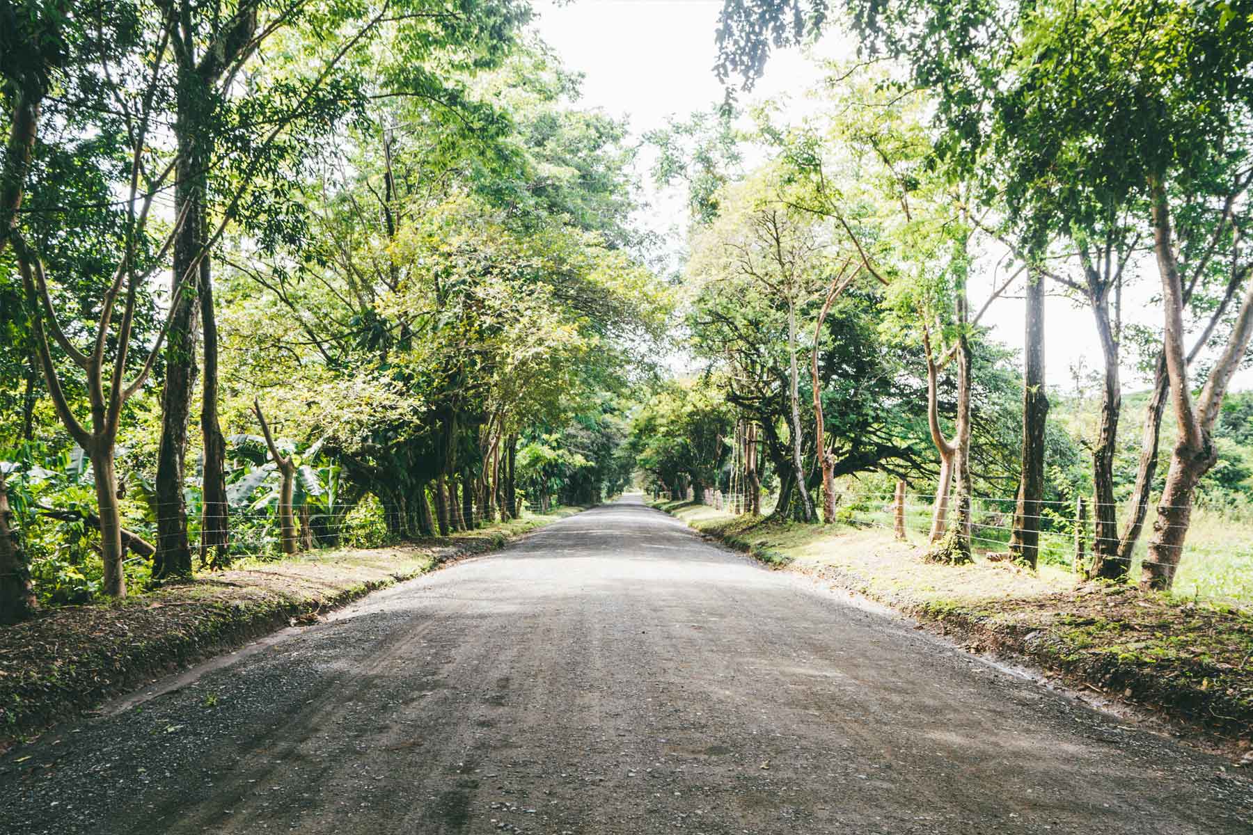 Corcovado Nationalpark Costa Rica