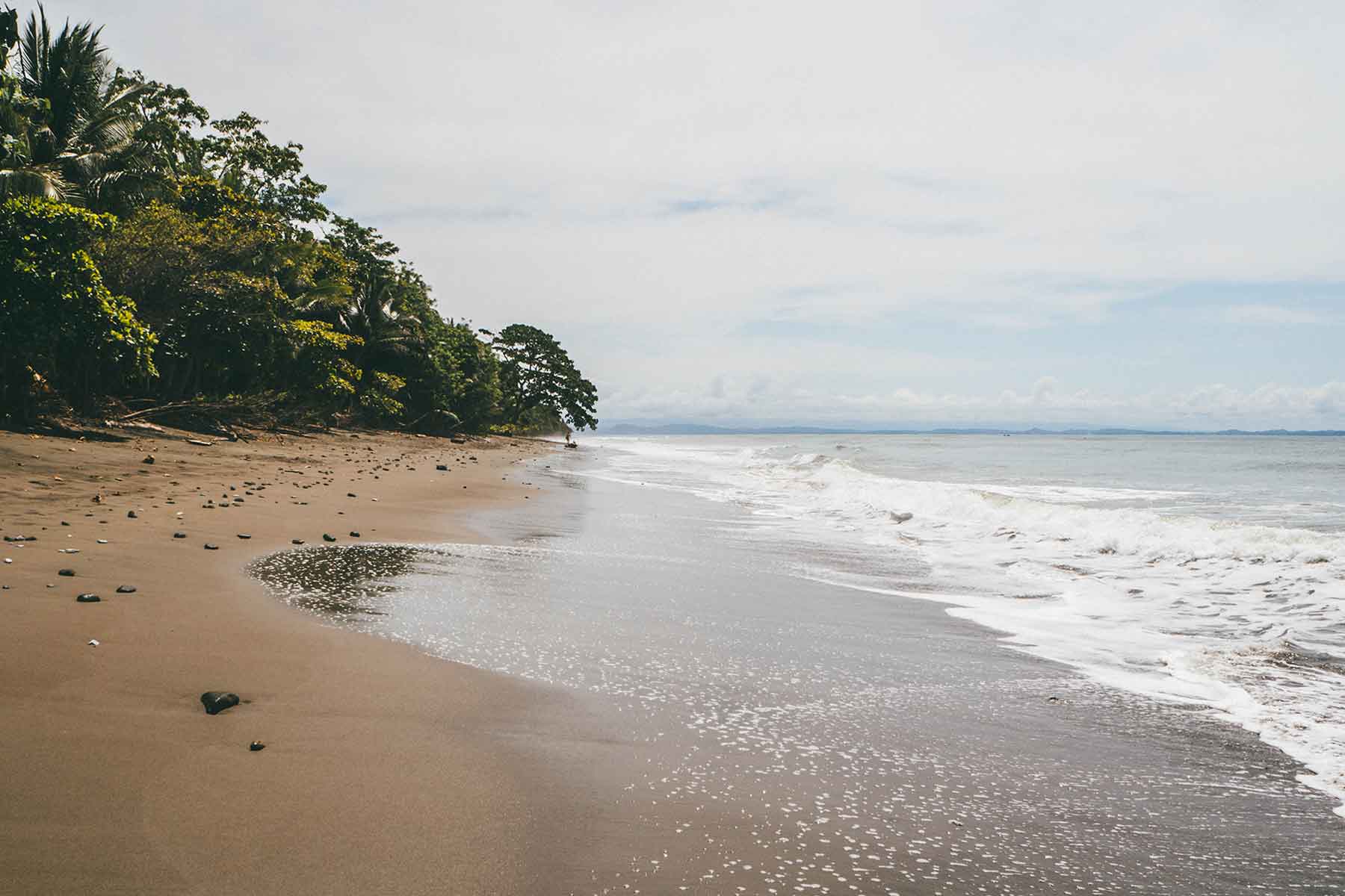 Puerto Jiménez Costa Rica