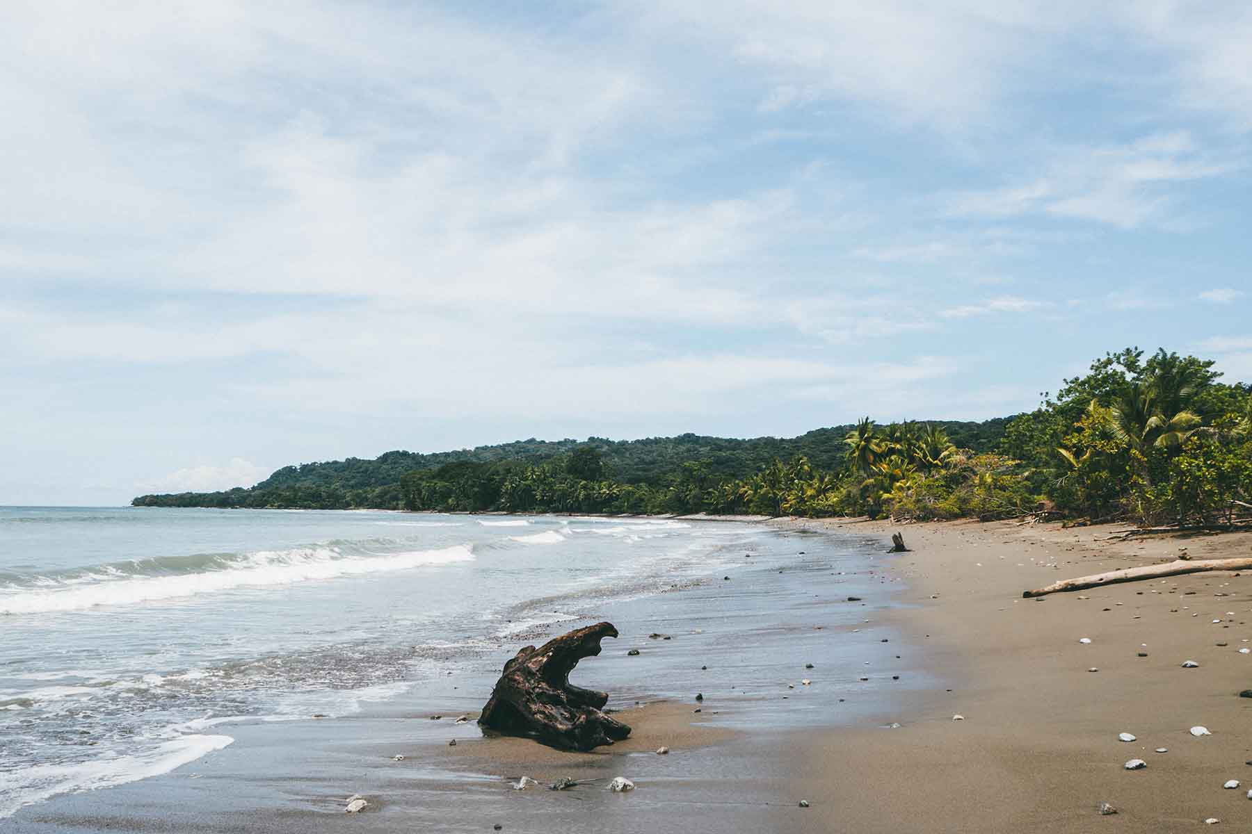 Puerto Jiménez Costa Rica