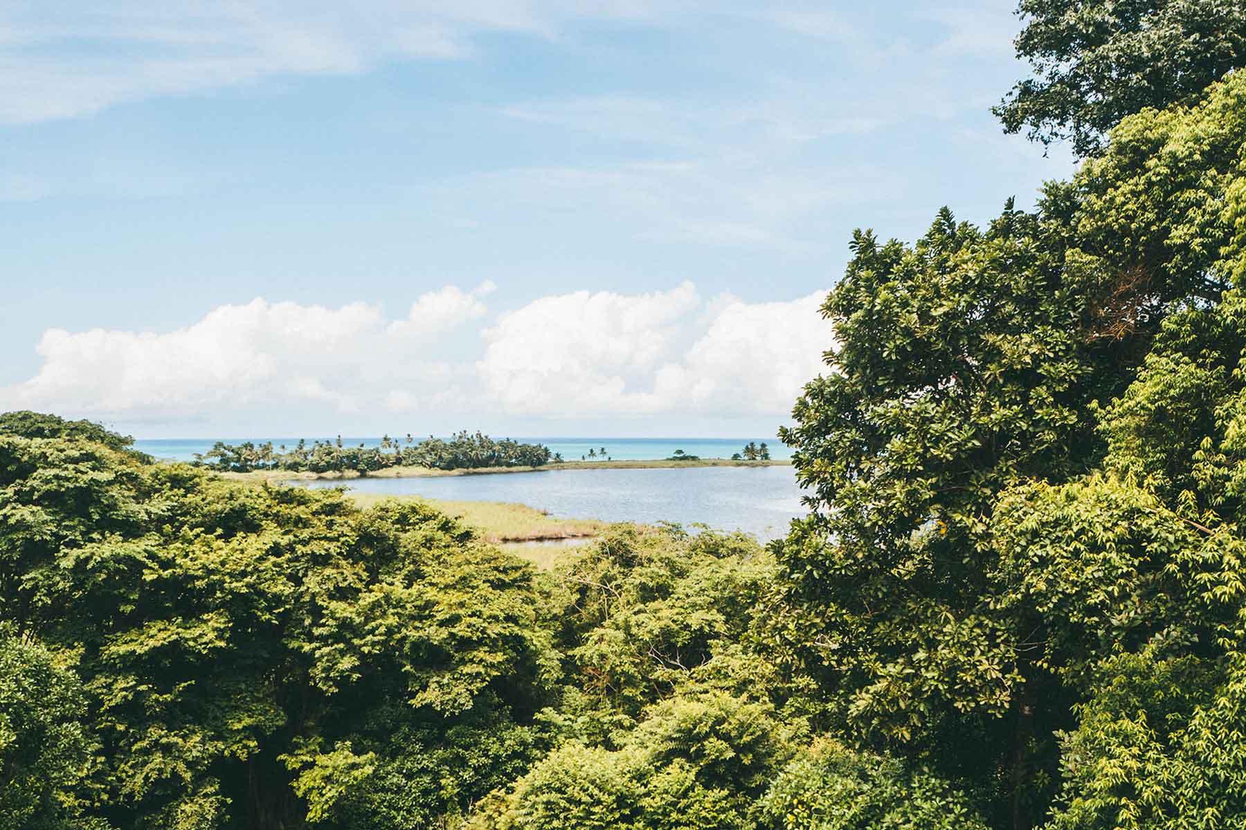 Puerto Jiménez Costa Rica