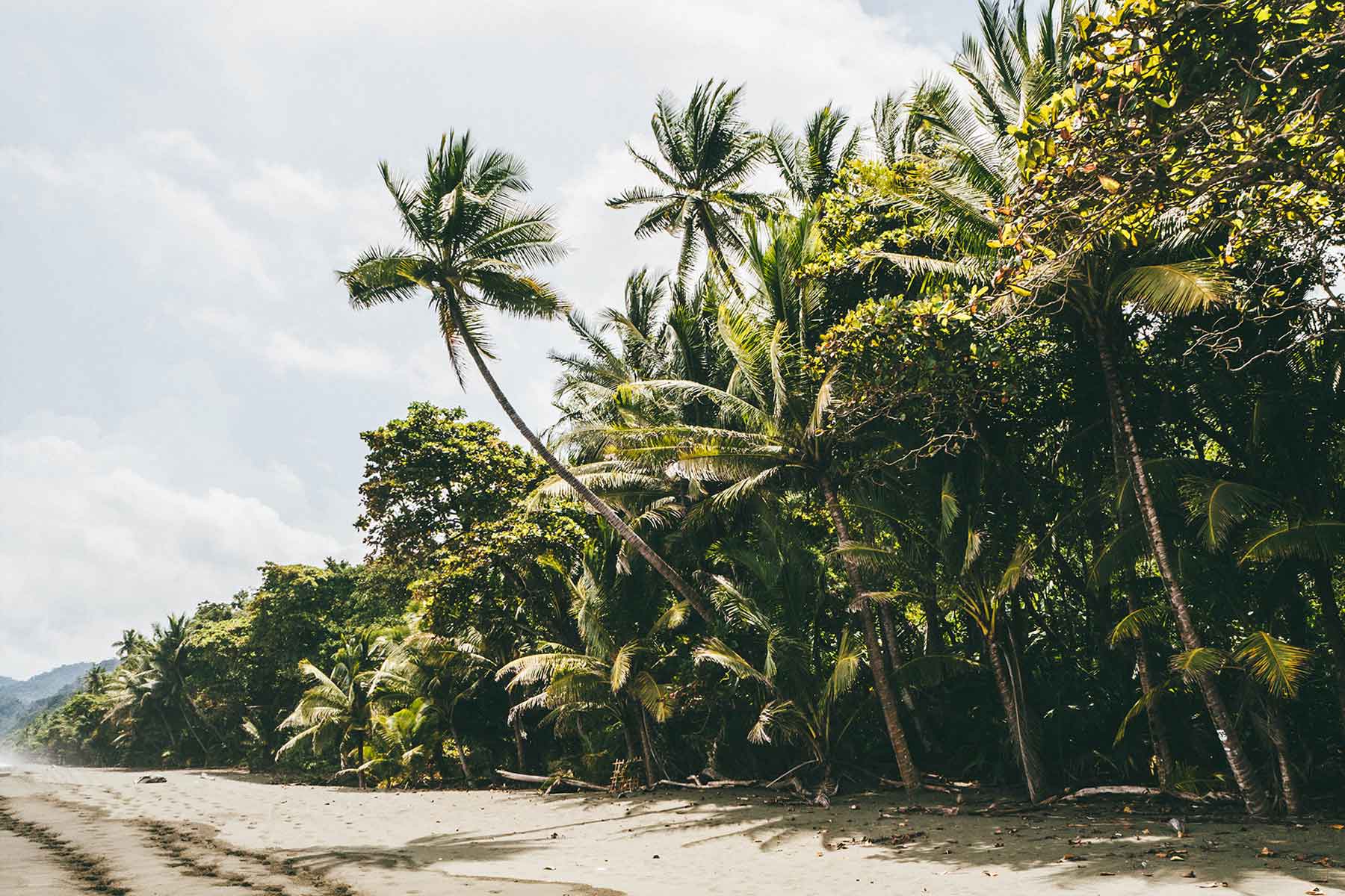 Corcovado Nationalpark Costa Rica