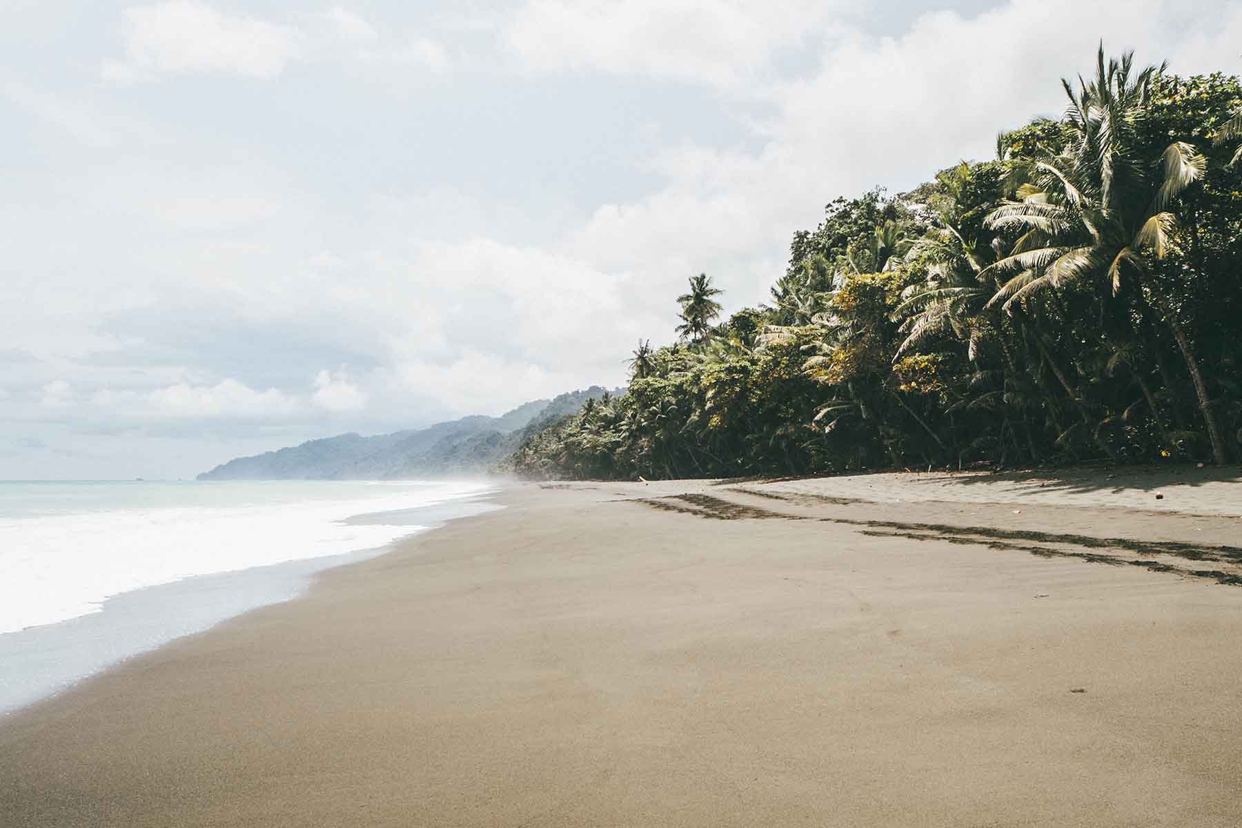 Corcovado Nationalpark Costa Rica