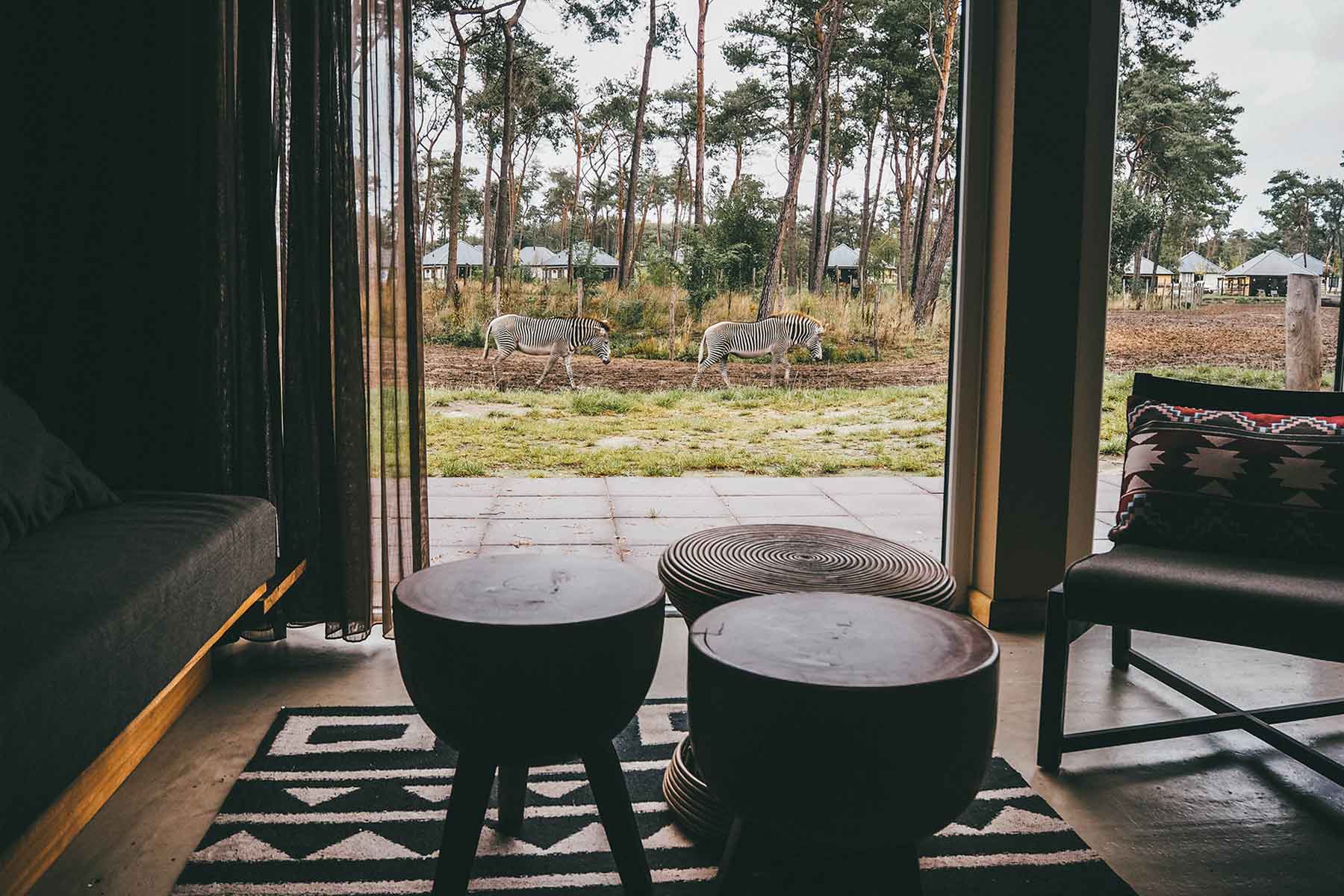 Safari Resort Beekse Bergen