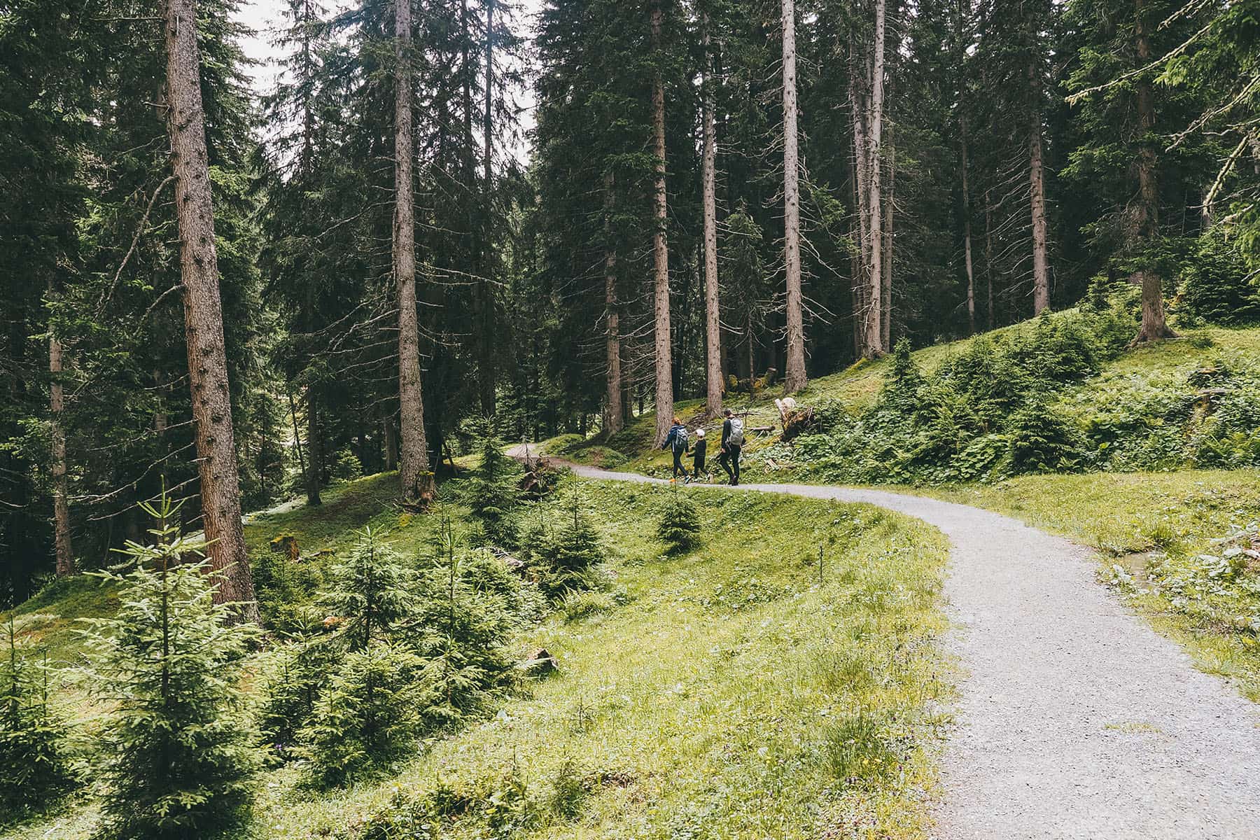 Wanderung in Serfaus