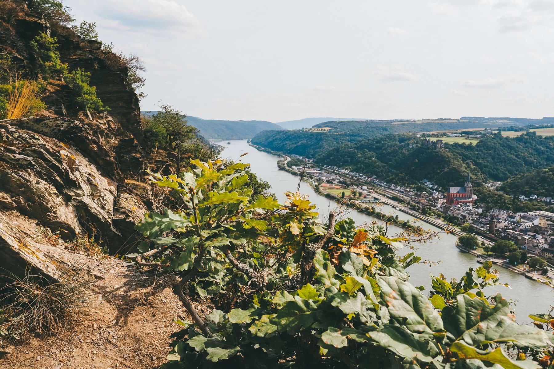 Wandern auf dem Rheinsteig