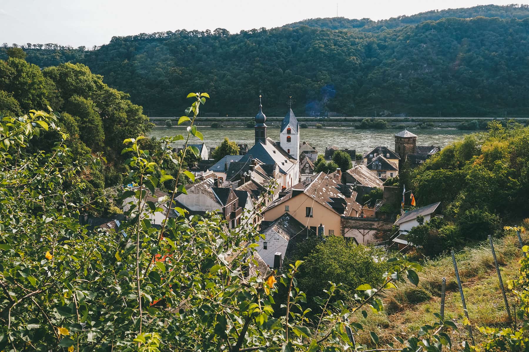 Wandern auf dem Rheinsteig