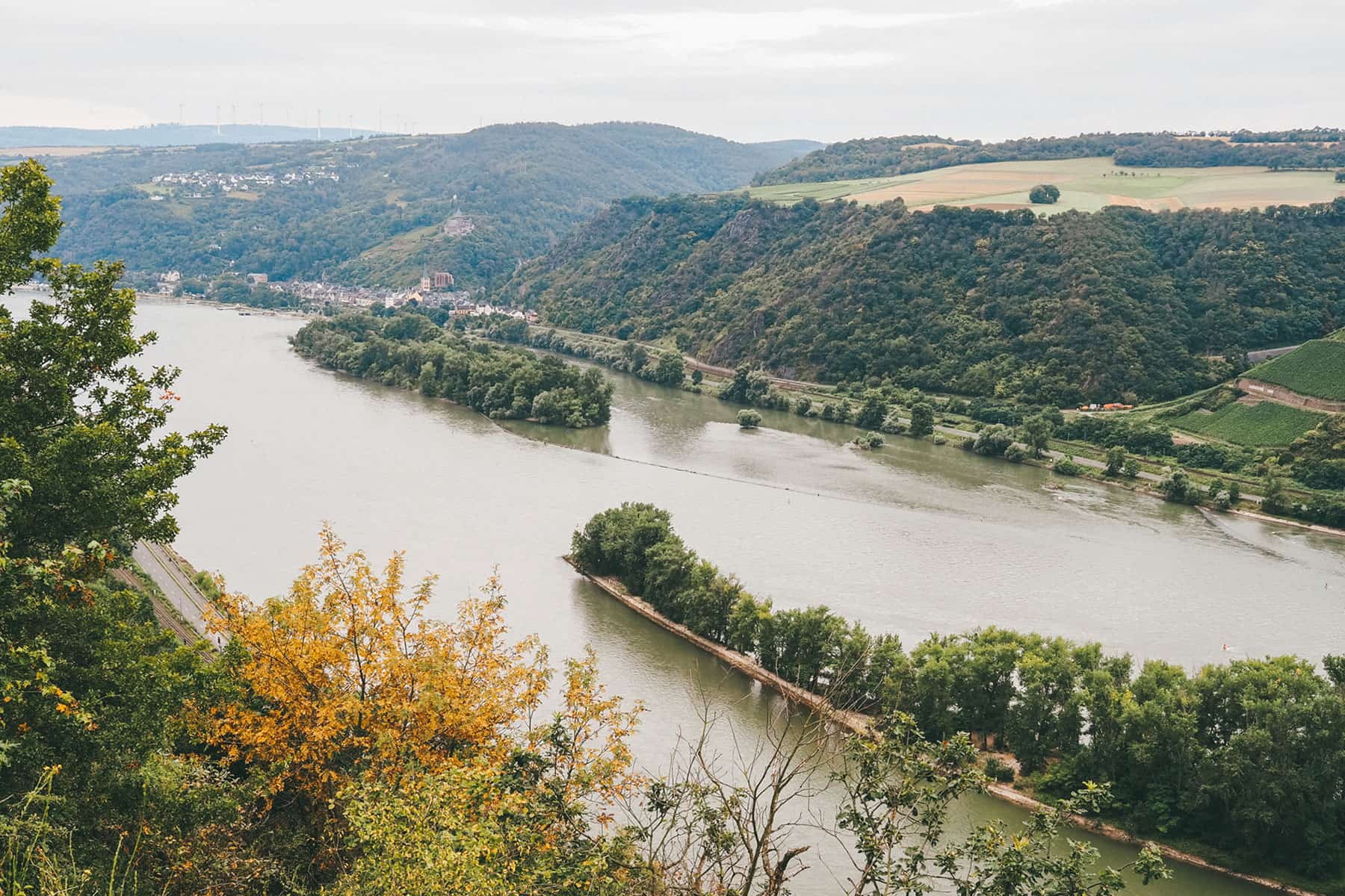 Wandern auf dem Rheinsteig