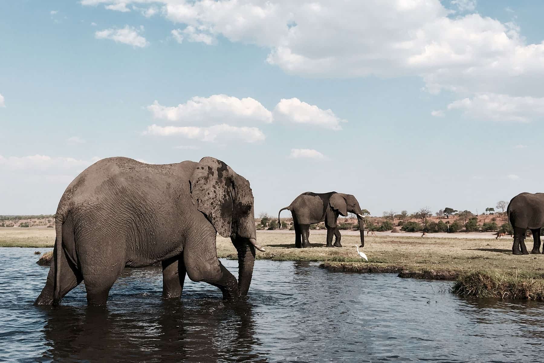 Botswana mit Djoser Family